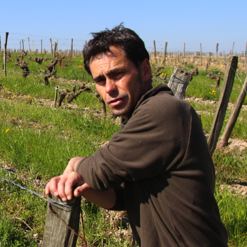 Domaine de Mirebeau