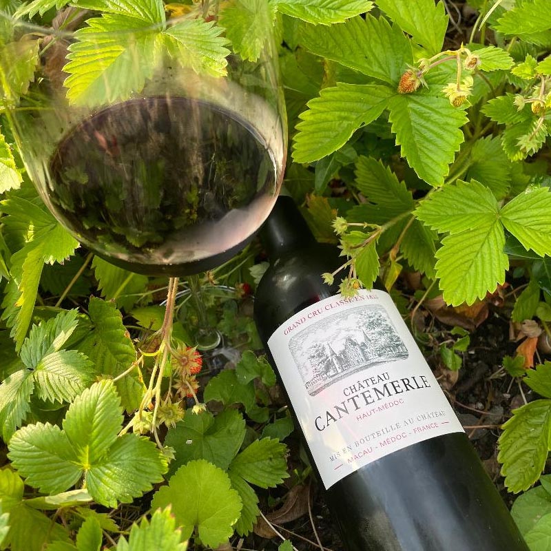 Chateau Cantemerle