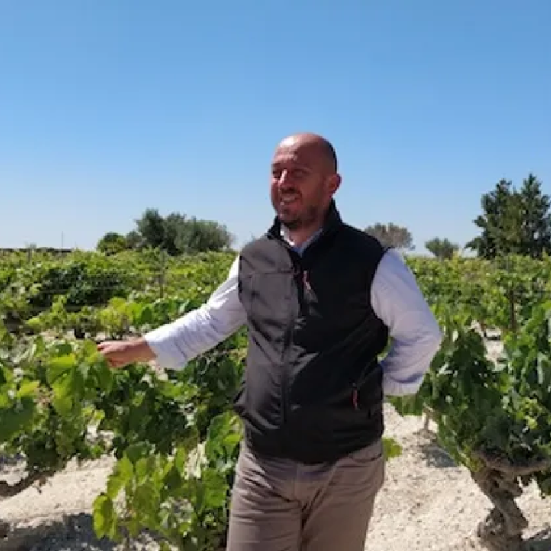 Bodegas Ramiro Ibáñez