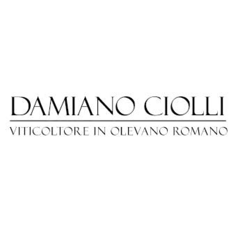Damiano Ciolli