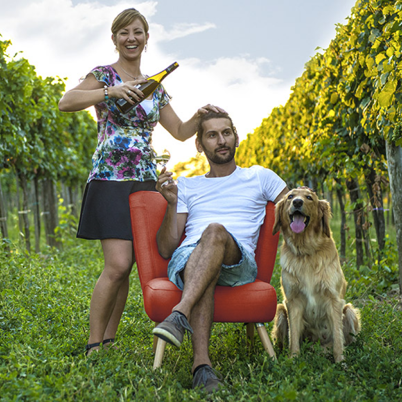 Weingut Diwald
