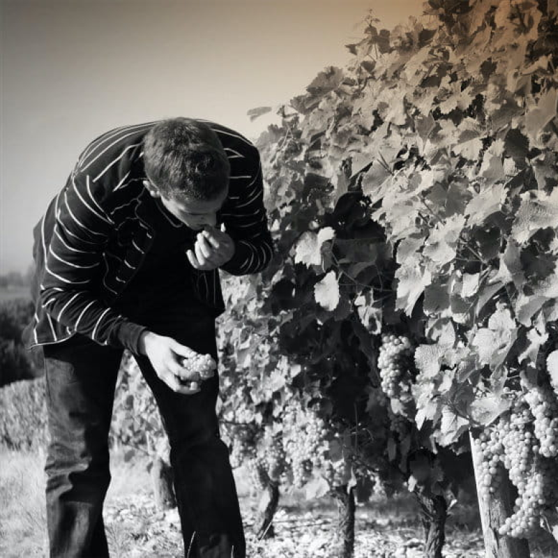 Domaine Gerard Fiou