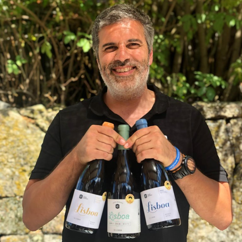 Hugo Mendes Wines