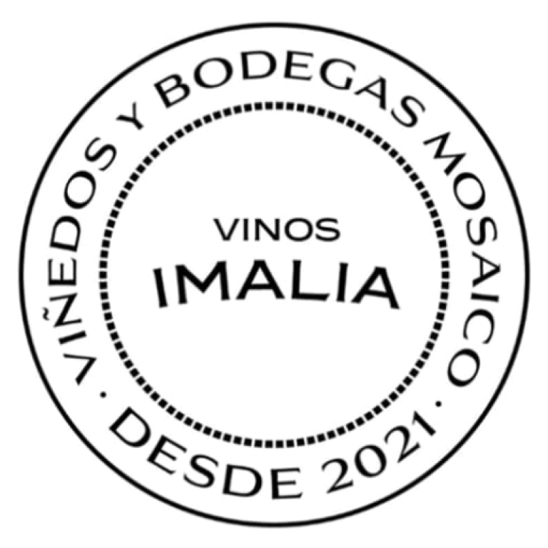 Viñedos y Bodegas Mosaico