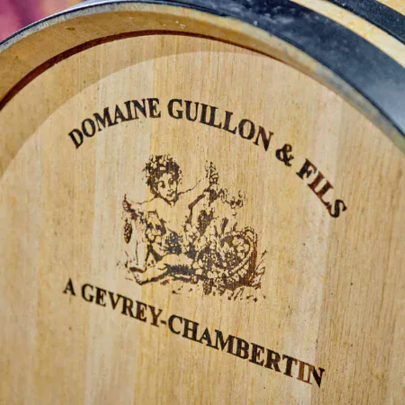 Domaine Guillon & Fils