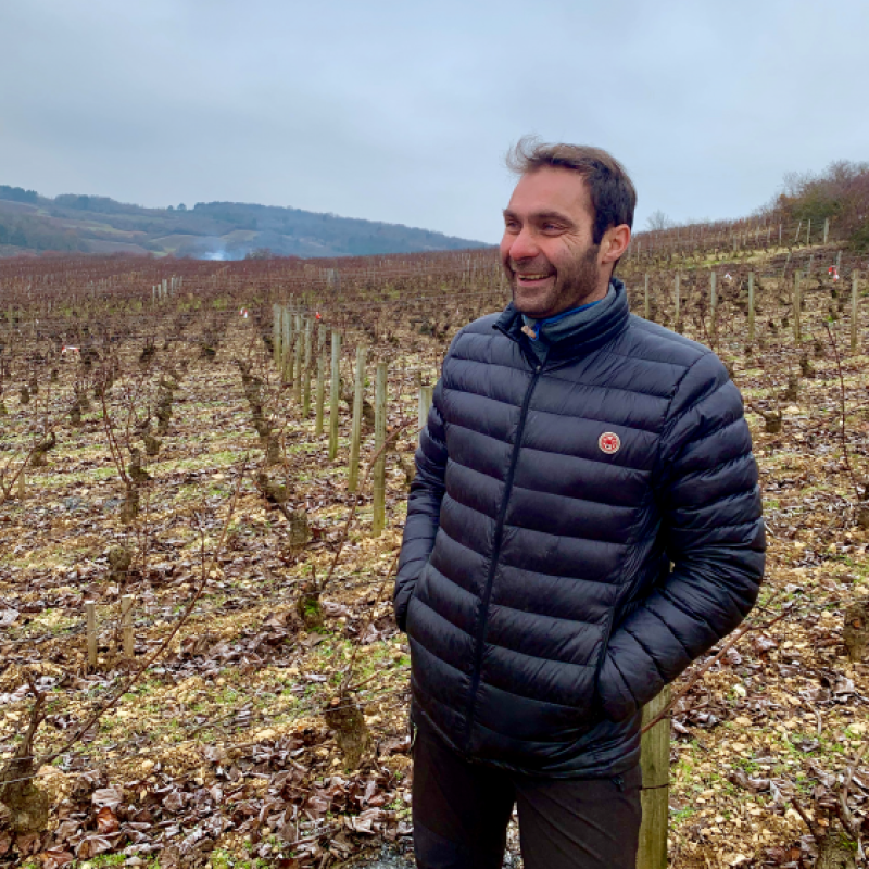 Domaine Joseph Colin
