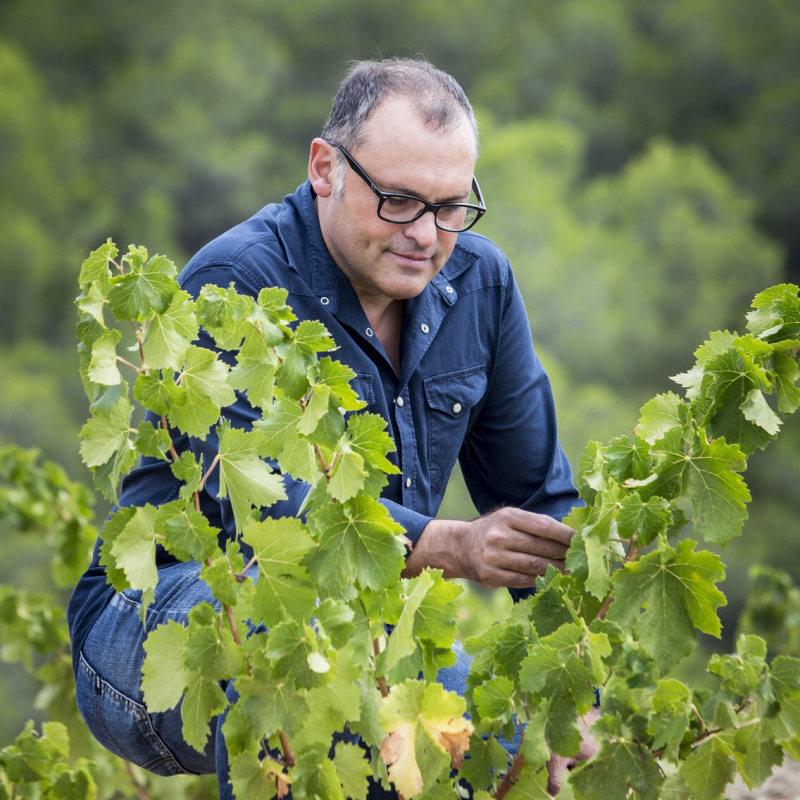 Josep Grau Viticultor Winery