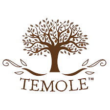 Temole Baked Chips