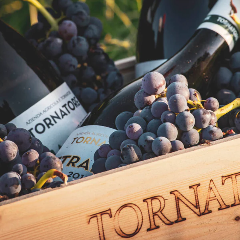 Cantine Tornatore