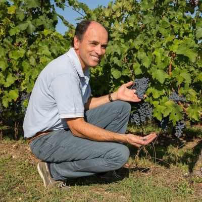 Vignobles Stephane Heurlier