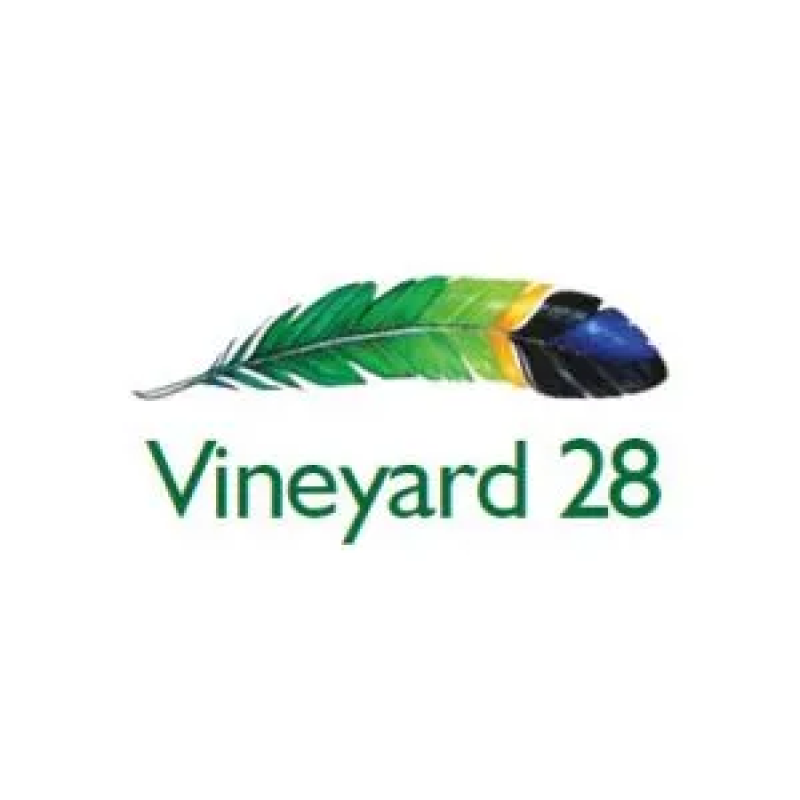 Vineyard 28