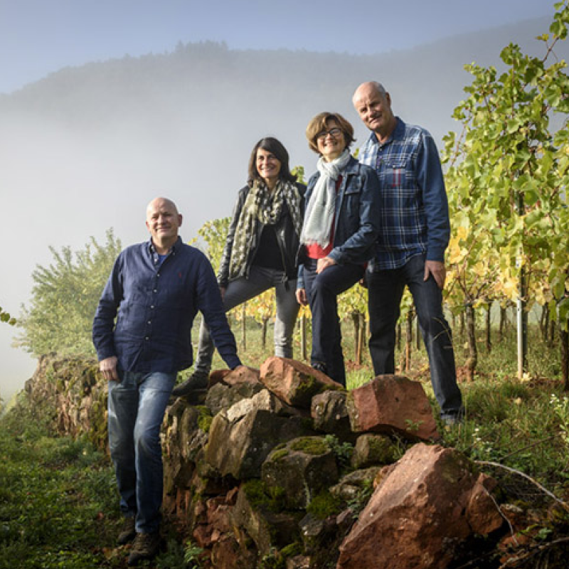 Domaine Albert Mann
