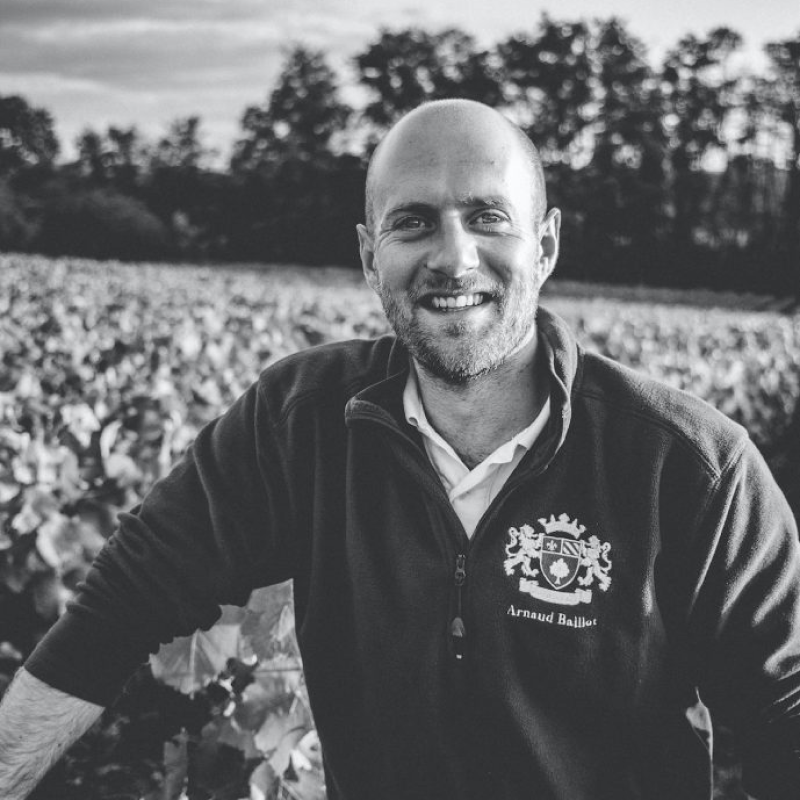 Domaine Arnaud Baillot