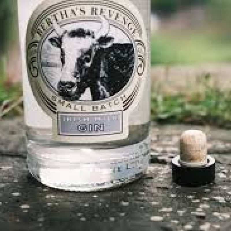 Ballyvolane House Spirits Company