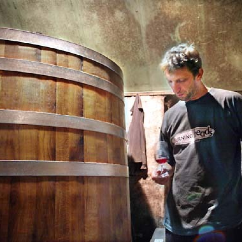 Clos du Tue Boeuf