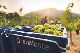 GranMonte Estate
