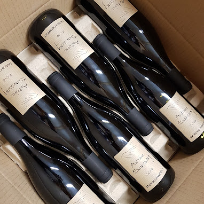 Domaine Antoine Sanzay
