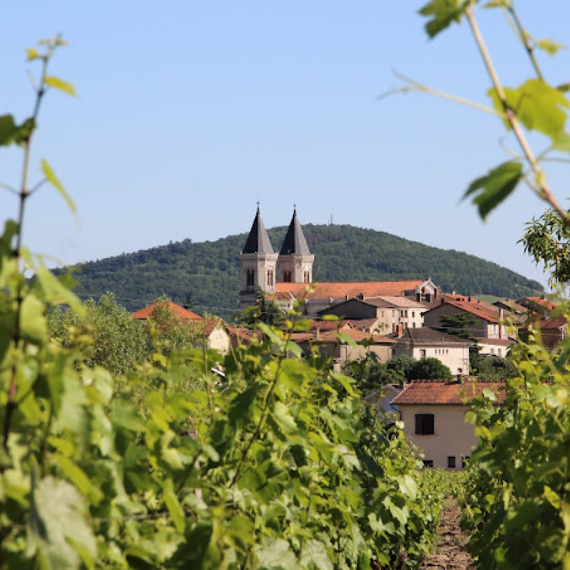 Domaine Antoine Sunier