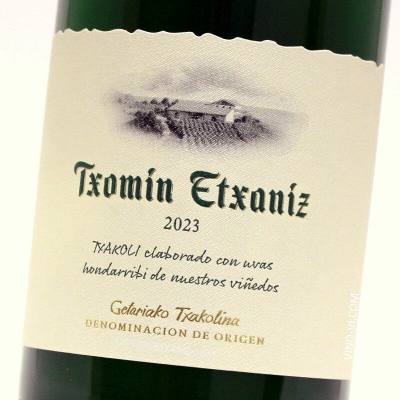 Txomin Etxaniz