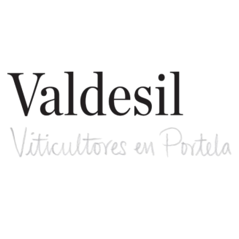 Bodegas Valdesil