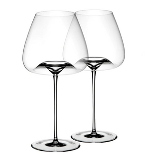 Zieher VISION Glass (Set of 2)