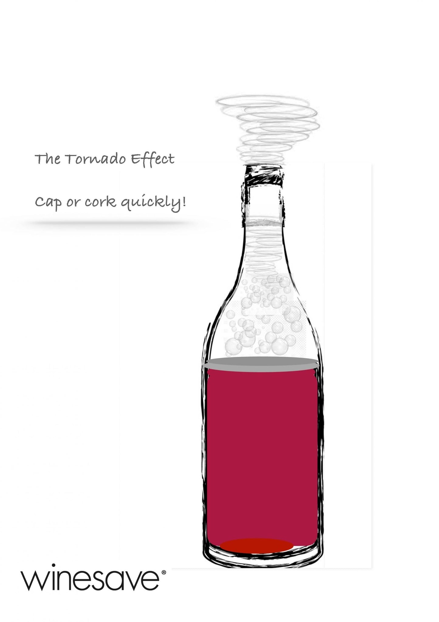 winesave-stage-2-scaled-1.jpg